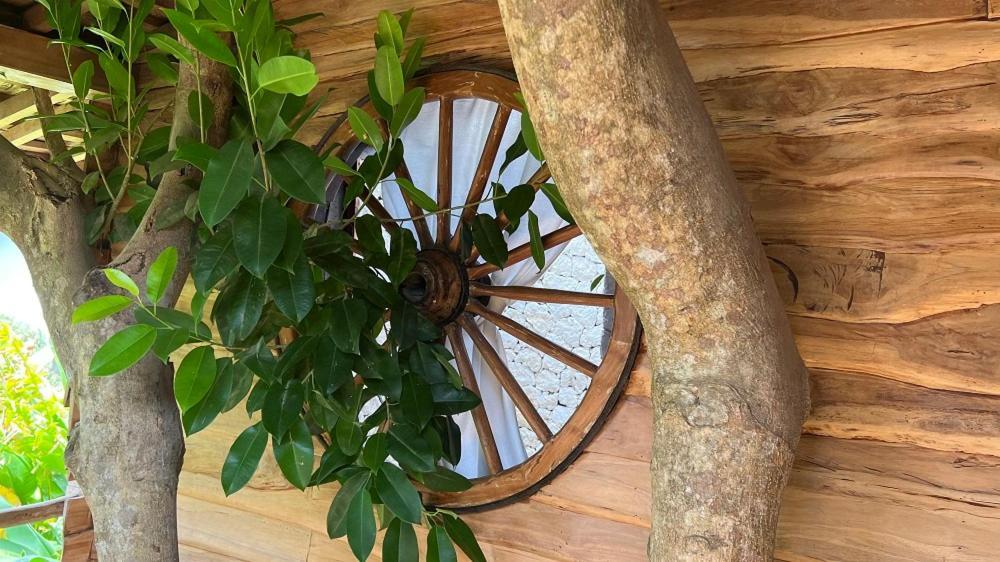 Roots Tree House Lodge Uluwatu